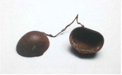 <Fig. 8>