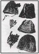 <Fig. 20>