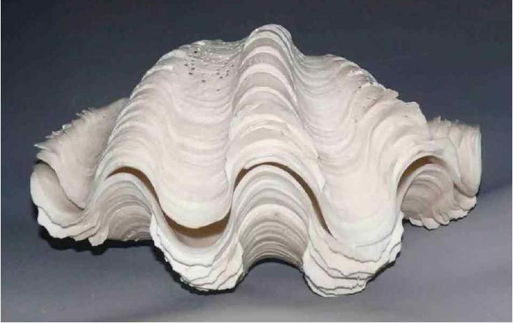<Fig. 15>
