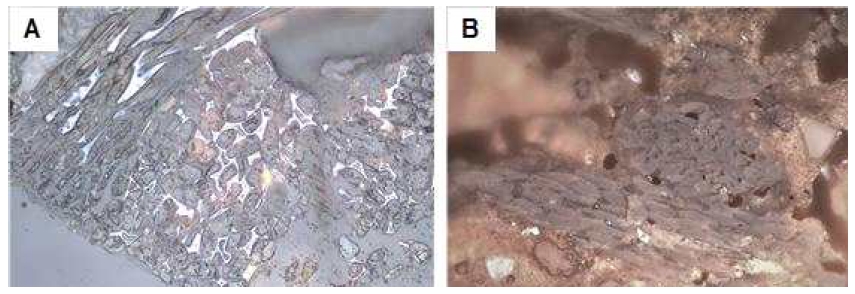 <Fig. 2> <Fig. 2>