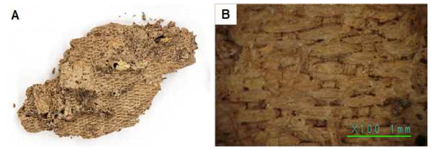 <Fig. 4> <Fig. 4>