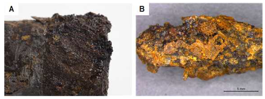 <Fig. 5> <Fig. 5>