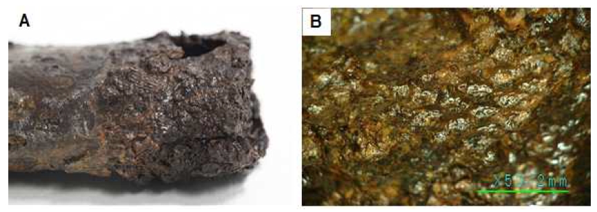 <Fig. 6>