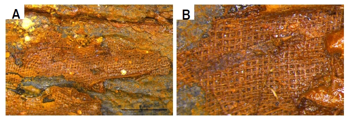 <Fig. 7>