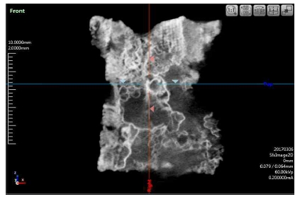 <Fig. 12>