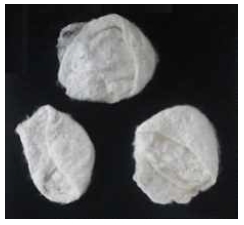 <Fig. 3>