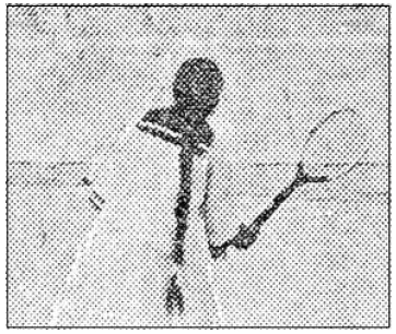 <Fig. 12> <Fig. 12>