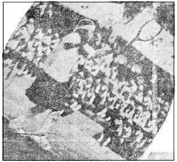 <Fig. 22> <Fig. 22>