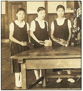 <Fig. 27> <Fig. 27>