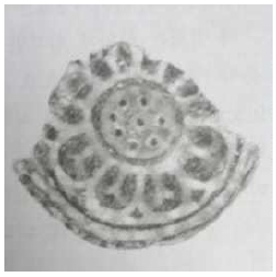 <Fig. 2>