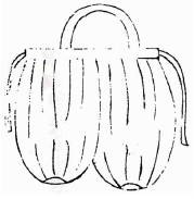 <Fig. 48>