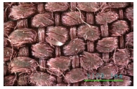 <Fig. 10>
