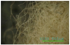 <Fig. 20>
