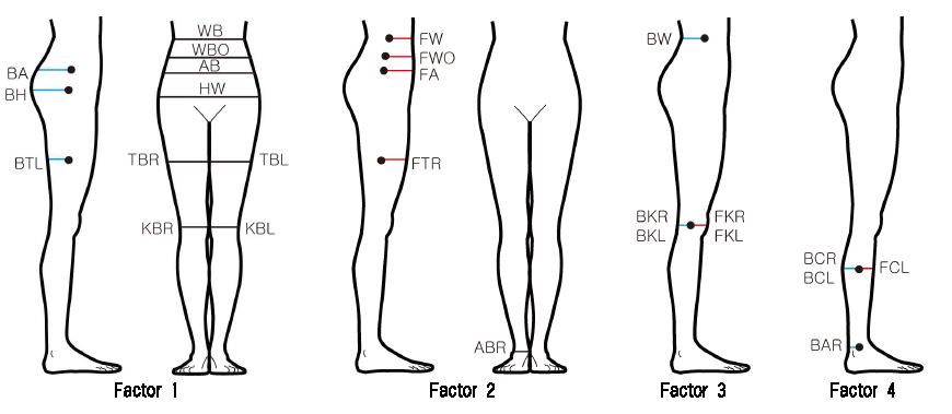 <Fig. 2>