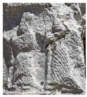 <Fig. 23>