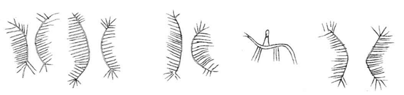 <Fig. 24>