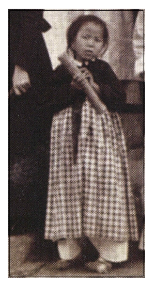 <Fig. 19> 