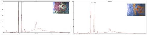 <Fig. 11>