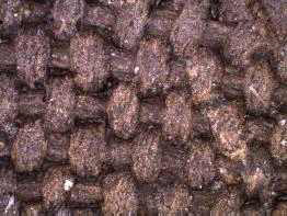 <Fig. 1>