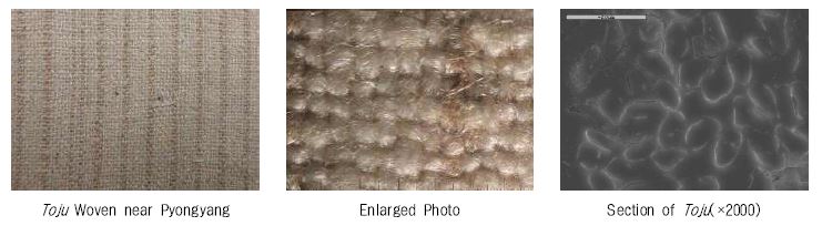 <Fig. 5>