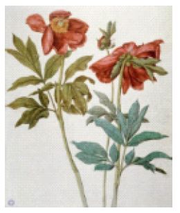 <Fig. 2>