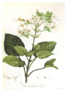 <Fig. 3>