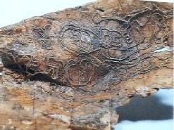 <Fig. 15>