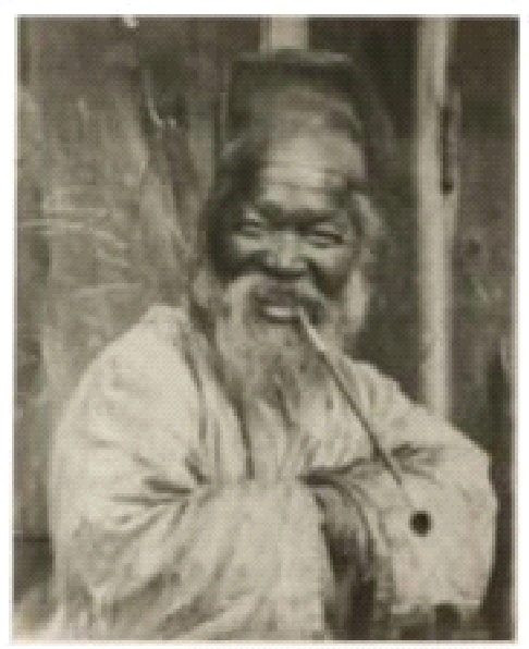 <Fig. 15>